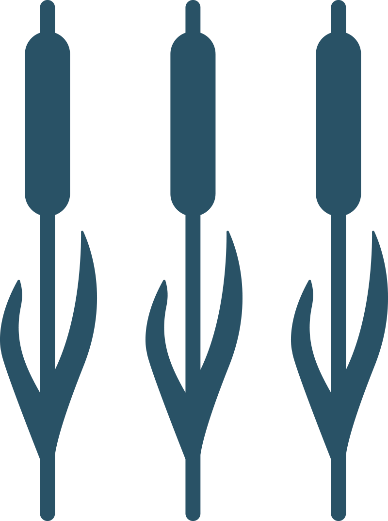 Footer-IMG