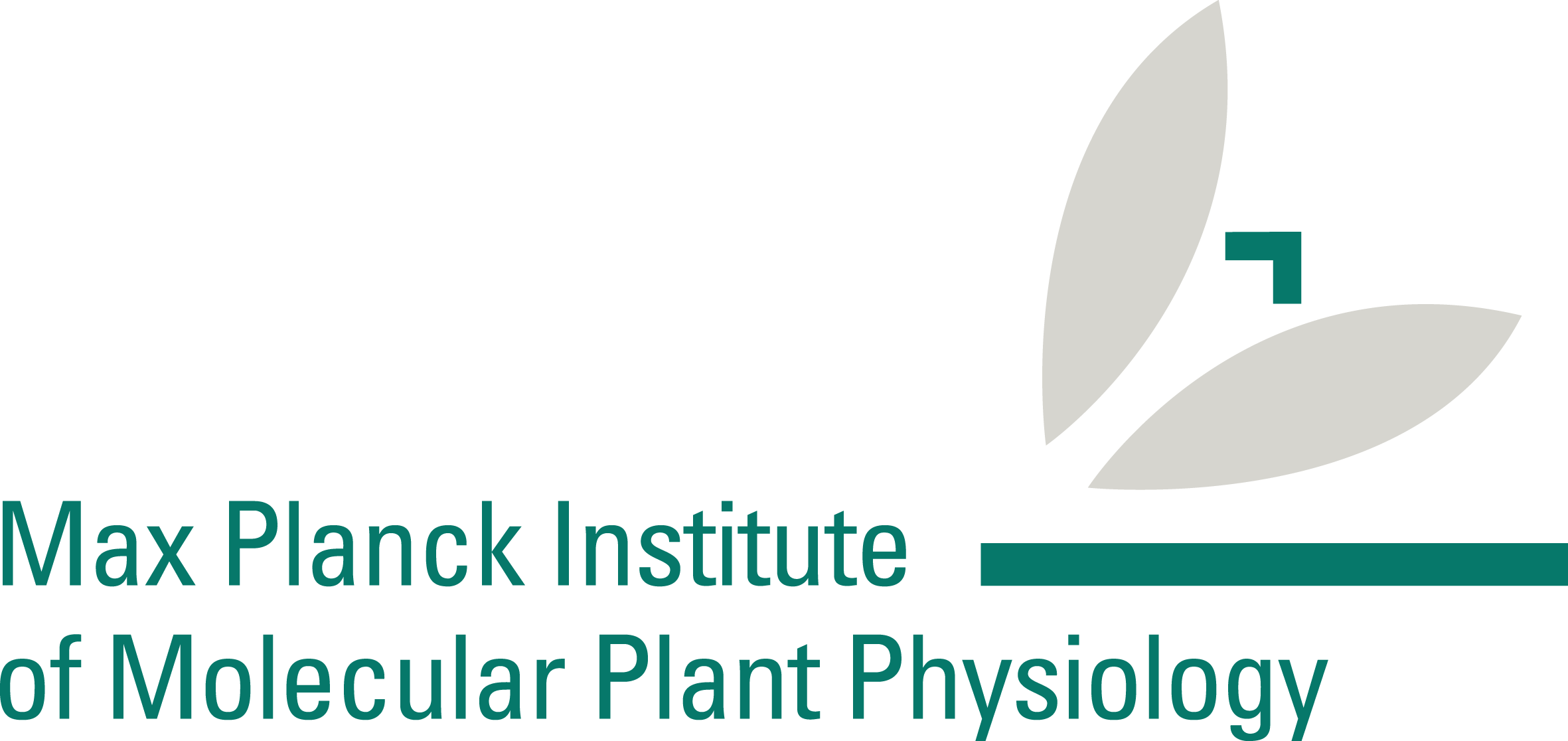 Logo-2