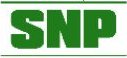 image-snp.jpg