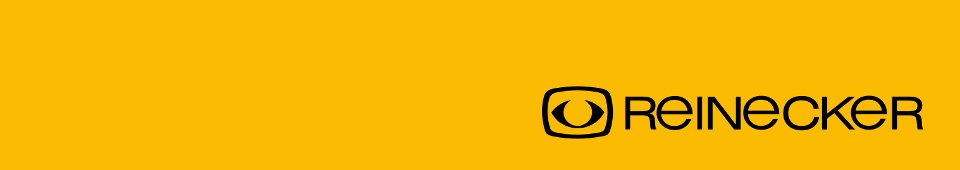 logo: Reineckervision